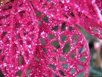 ID#107 Objects: Miscellaneous ID#107 Objects: Miscellaneous