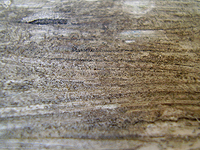 ID#18 Textures: Flat Surfaces ID#18 Textures: Flat Surfaces