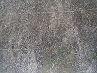 ID#20 Textures: Flat Surfaces ID#20 Textures: Flat Surfaces