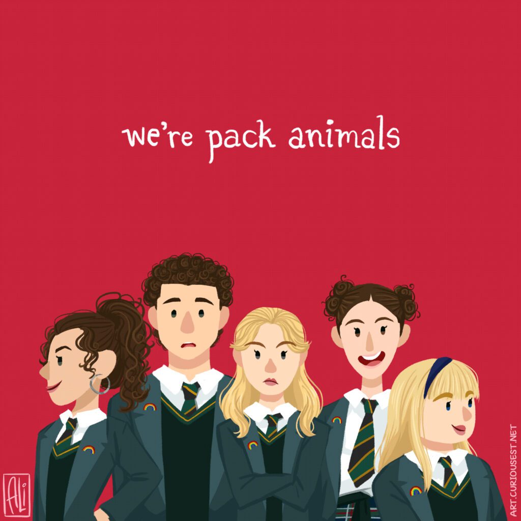 pack animals
